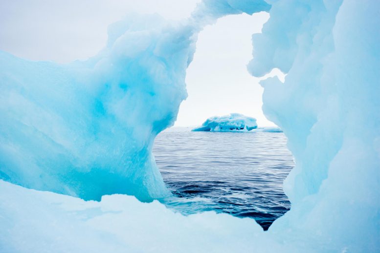 在冰冷的北极场景中沉浸虚拟现实有助于缓解人们的痛苦