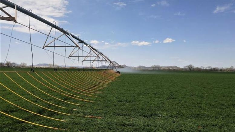 单位灌溉科学与农学：水管理生长农场利润
