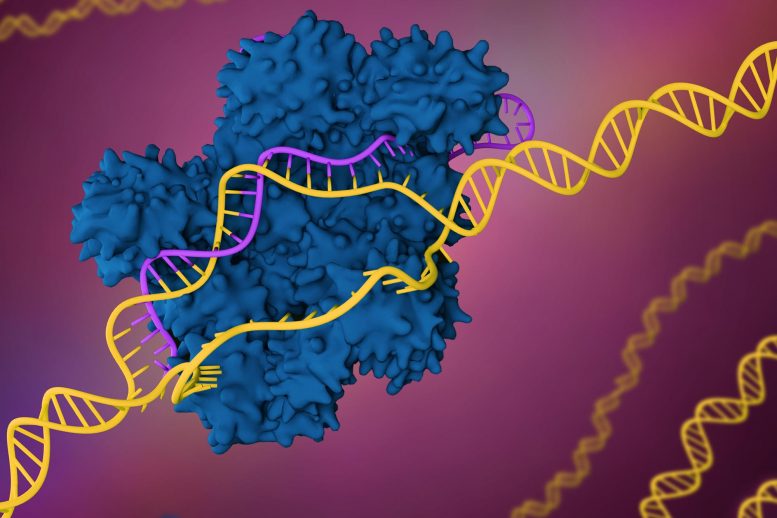 用于迅速分析CRISPR编辑的新工具显示频繁意外的DNA变化