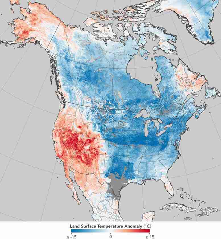 在全球规模的日常天气观测中检测到全球变暖的指纹