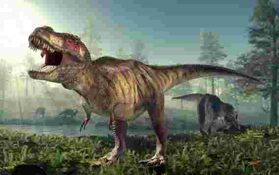 长大霸王龙：研究人员了解有关Teen-T.Rex的更多信息