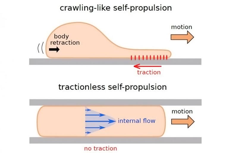 发现揭示无牵引自推进是可能的
