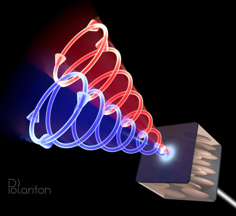 在人工磁场中捕获的大量光子