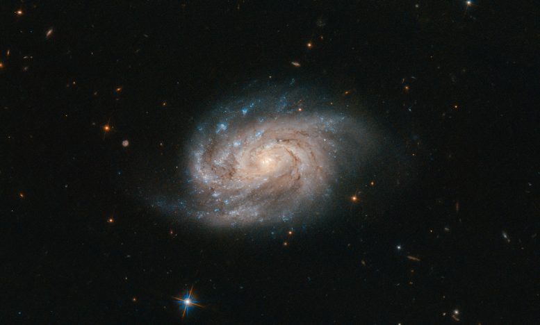 哈勃太空望远镜在画家画架中间谍NGC 1803