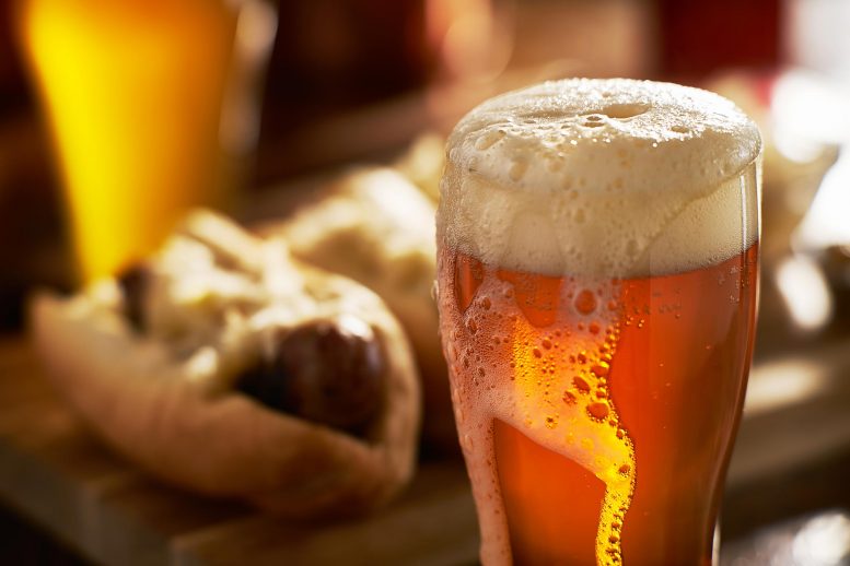 完美的啤酒主管：科学家解决与泡沫寿命有关的长期谜团