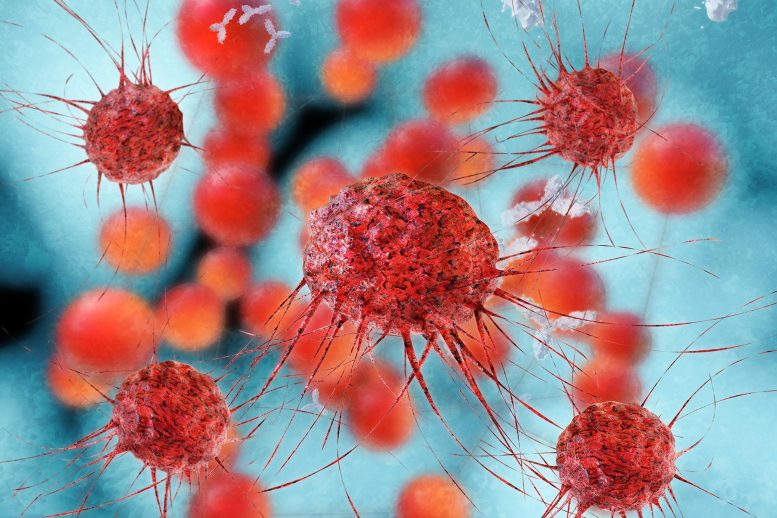 新化合物杀死乳腺癌细胞并阻断肿瘤生长