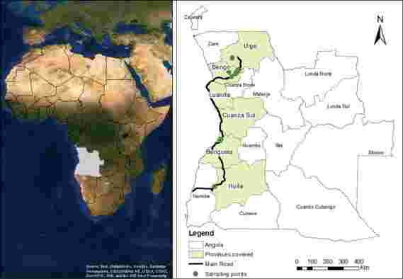 非法狩猎和丛林贸易威胁的安哥拉生物多样性和野生动物