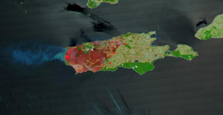 澳洲大火的卫星视图显示袋鼠岛上严重烧伤