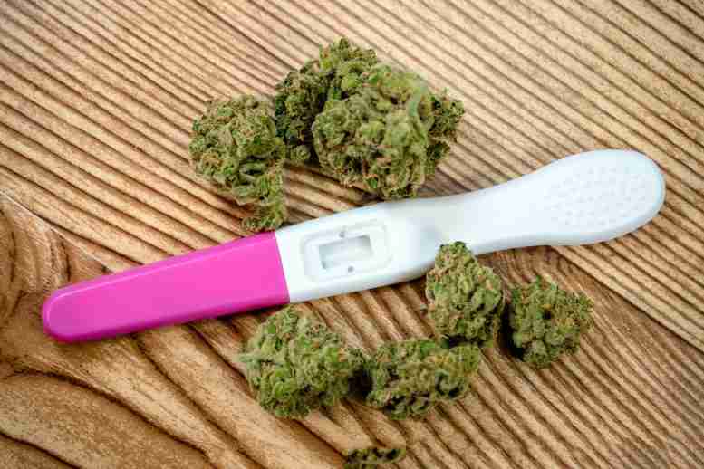 在新研究中发现怀孕期间大麻暴露的显着风险