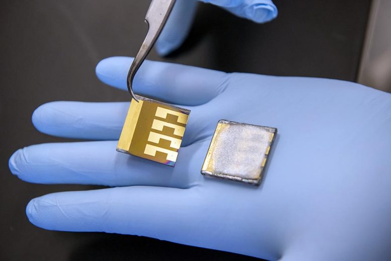 科学家使高性能混合钙钛矿太阳能电池更安全