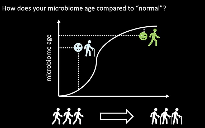 研究人员可以根据生活在您身体上的微生物准确估算您的年龄