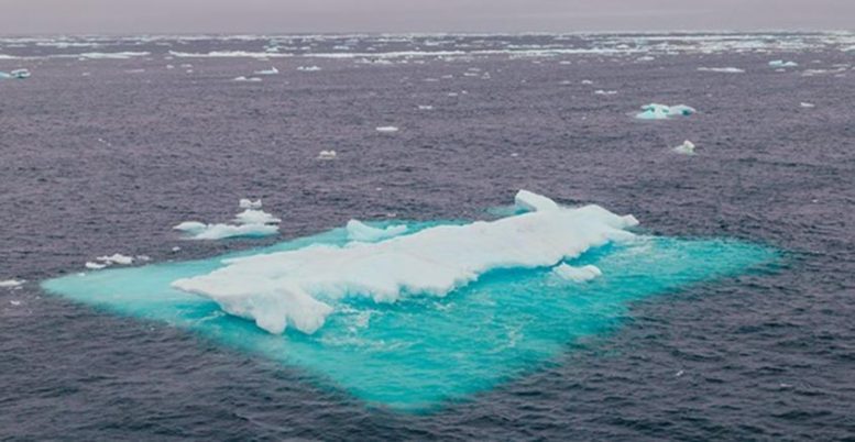 北极正在变暖的新原因如此快速地发现科学家