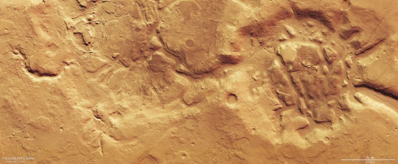 Nilosyrtis Mensae，火星：大幅不同地区的红色行星作为一个