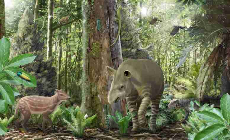 大约4700万年前，马大约是一只拉布拉多犬的大小
