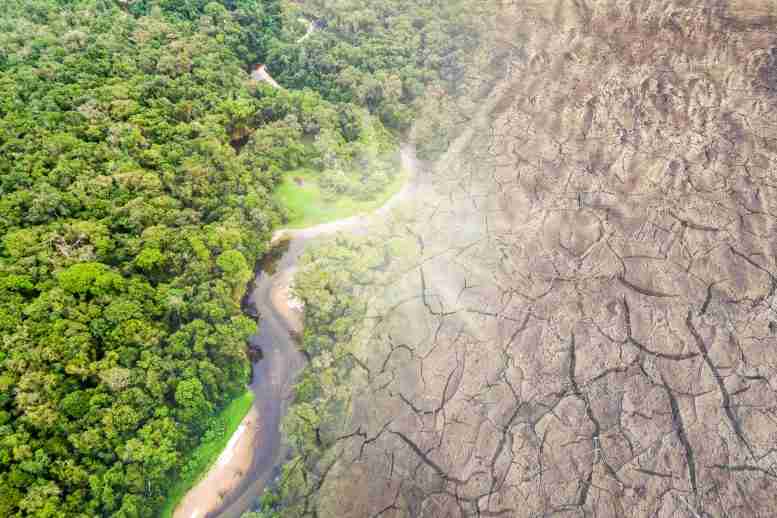 “不归之地” –亚马逊雨林将在50年内消失