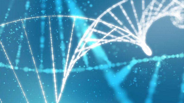 DNA可能不是生命的蓝图–只是成分混乱的清单