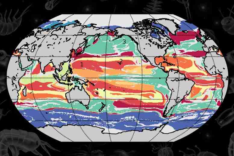 麻省理工学院的机器学习技术帮助绘制全球海洋社区的地图