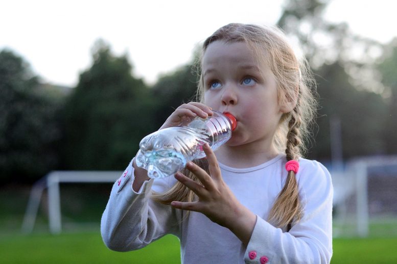 常见的BPA免费塑料使用可能导致血压增加的化学品