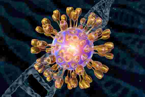 基因解码的单纯疱疹病毒1（HSV-1）