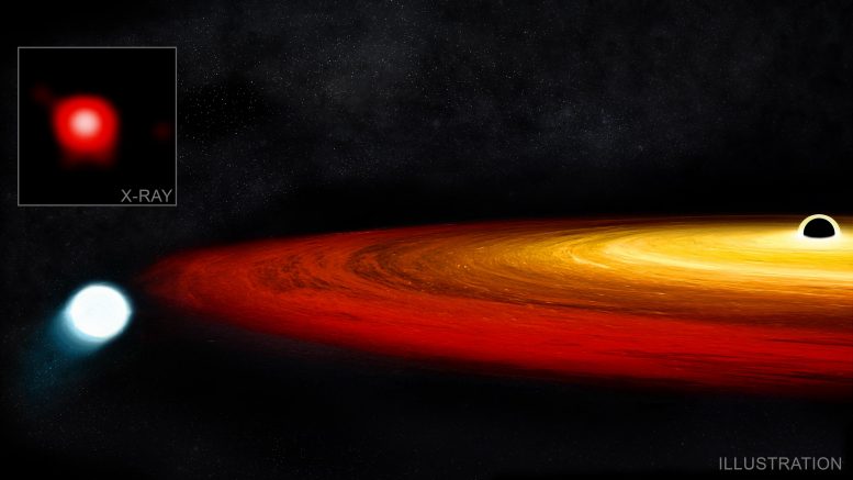 超大质量黑洞的引力捕获的恒星-幸存下来！