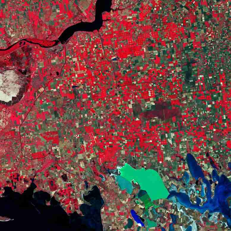 乌克兰南部的卫星形象中的神秘红色圈子解释了
