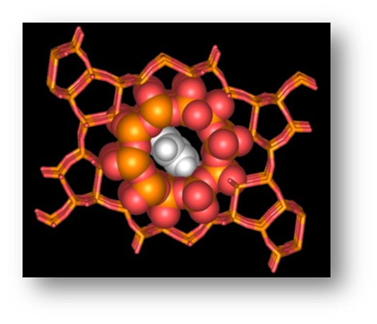 催化剂沸石纳米孔的发现可能会导致用于清洁能源和碳捕集的新材料