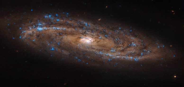 一个闪闪发光的螺旋螺旋，令人惊叹着由哈勃成像的世界突然的星系