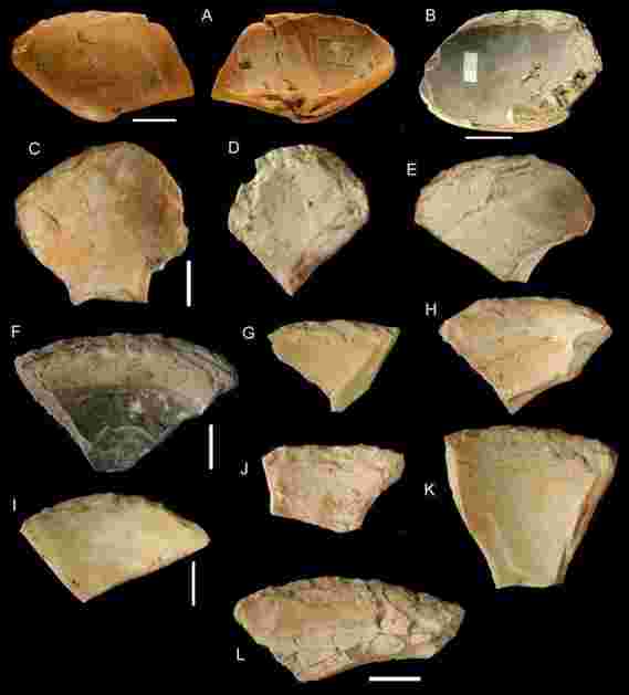 Neandertals鸽子在水下收集蛤壳用作工具