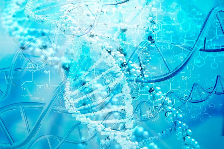 干细胞技术通过擦拭他们的DNA清洁来恢复老人细胞