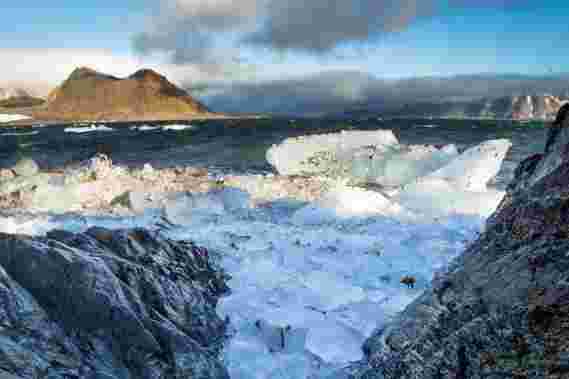 科学家惊讶于北极海岸发现的古碳源