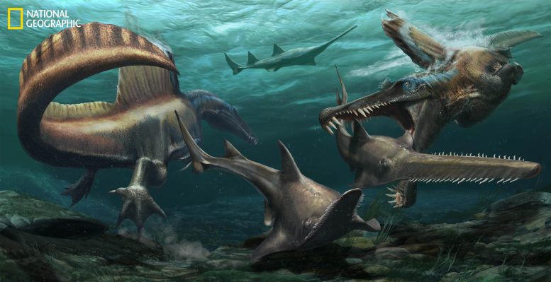 在发现明确的化石证据后，恐龙演变与生态学的故事