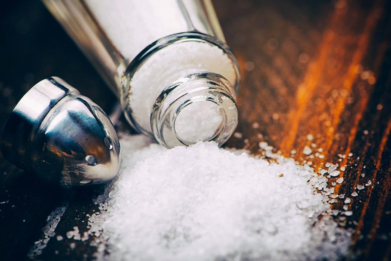 饮食中的盐分过多会削弱您的免疫系统