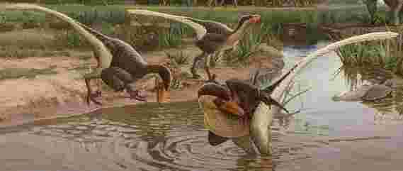 在新墨西哥发现的新恐龙是幸存的猛禽中最后一位