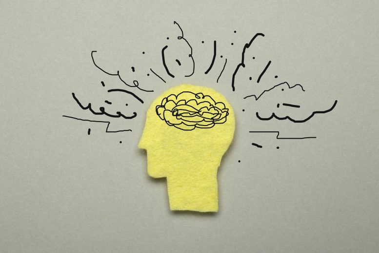 研究人员发现压力如何重组大脑