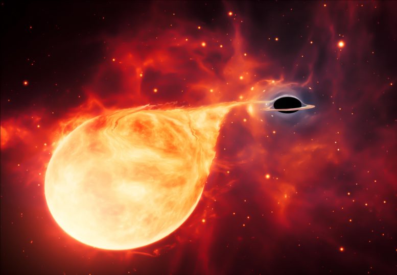 哈勃太空望远镜发现的黑洞演化中难以捉摸的“缺失联系”的证据