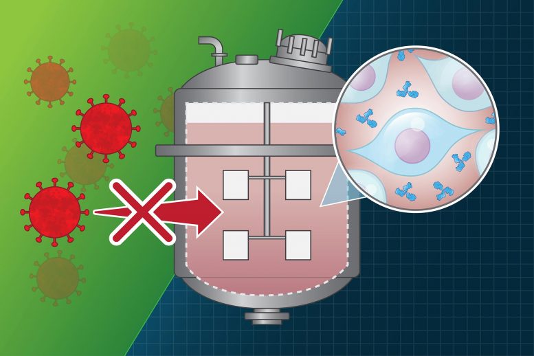 麻省理工学院研究：药品生产厂的药物病毒污染