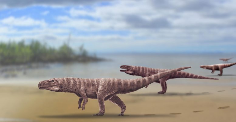 古生物学家追踪者发现两条腿走路的巨型鳄鱼