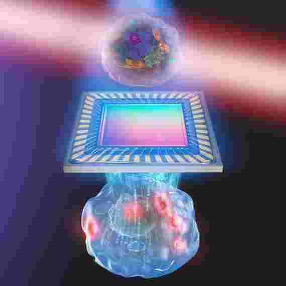 生化定量相成像可提供前所未有的活细胞3D图像以及内部分子的详细信息