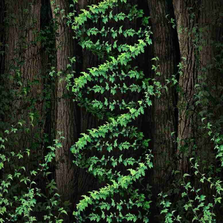 DNA显示植物是非凡的化学家–做爱与战争