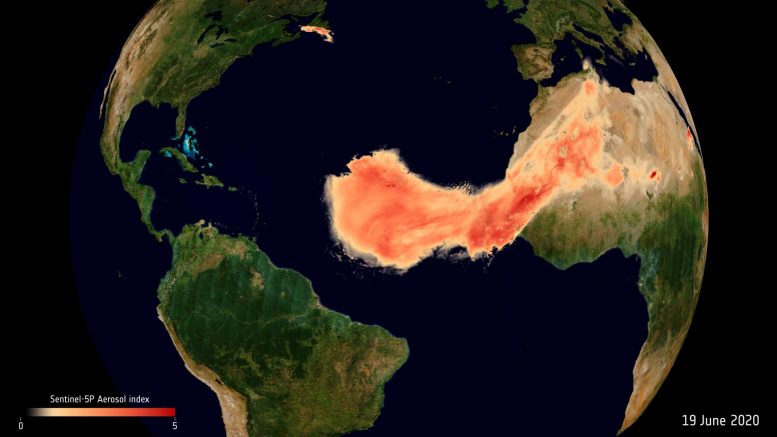 卫星追踪大规模的“哥斯拉”撒哈拉尘埃
