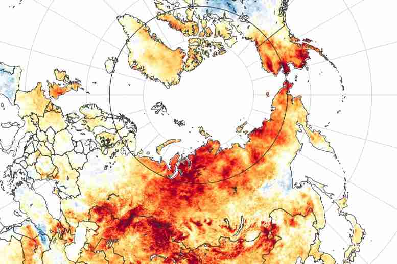 气象学家被震惊为热量和火烧焦西伯利亚