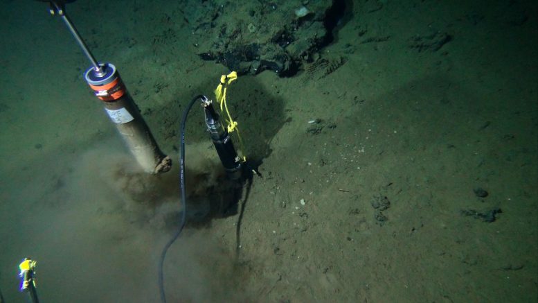 生活限制：海底的微生物在远前的能量较低的情况下比以往展示