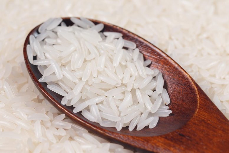稻米遗传改变以含有抗高血压肽 - 吃一勺降低血压