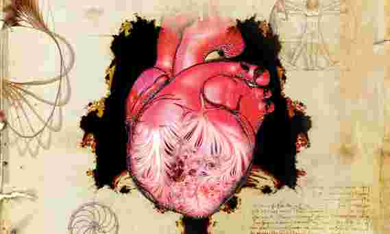达芬奇（Leonardo da Vinci）的《生物谜》：有关人类心脏500年之久的谜团的新线索