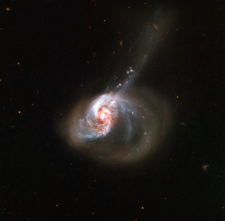 由哈勃太空望远镜捕获的恒星野火的华丽环