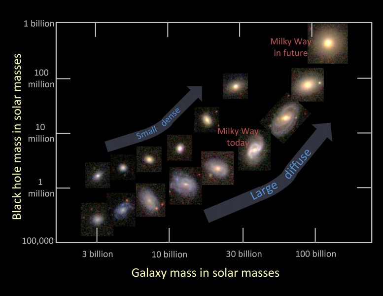 星系如何死亡：银河晕，黑洞和恒星形成淬火的新见解