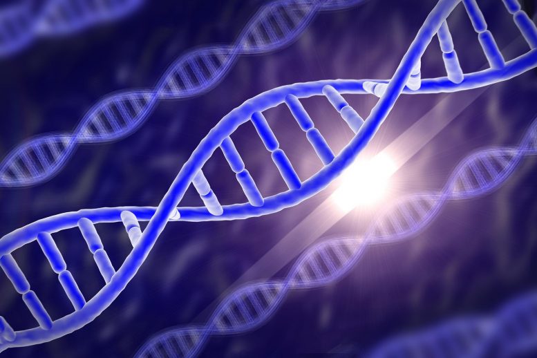 超级基因 - 基因块 - 可能有助于填补达尔文的进化理论中的挥之不去