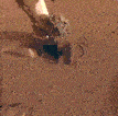 NASA的InSight Lander展示了其机械臂-“ Mole”的下一步是什么