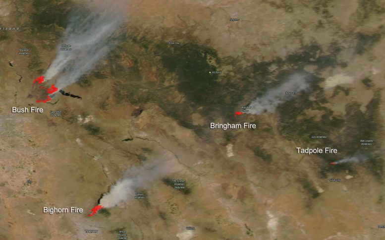 从NASA的Aqua卫星看，亚利桑那州和新墨西哥州的野火之怒