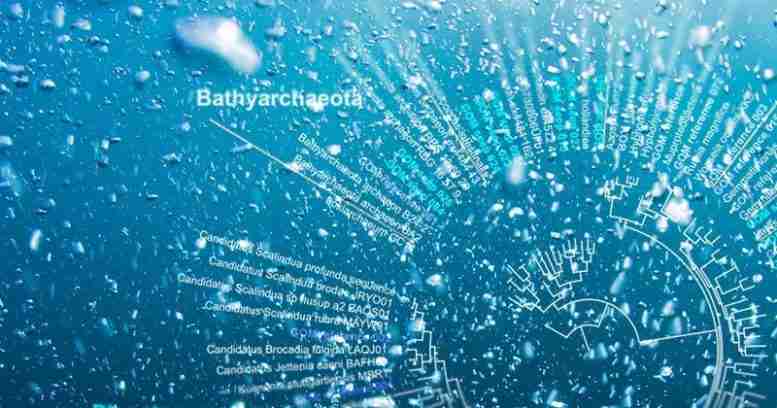 深海微生物：新研究着眼于海底烃渗漏内部和外部的生活